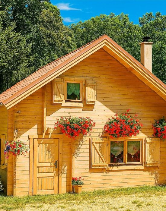 Chalet en bois avec étage 70m2 Myosotis